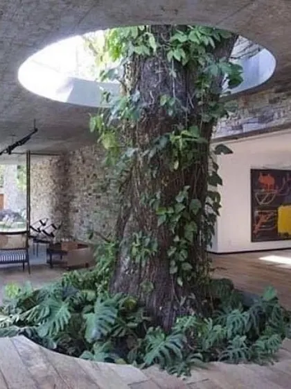 My core belief is that we should build with nature, not against it. This stunning example shows how a mature tree can become the centerpiece of a home, proving that thoughtful design can create a harmonious balance between architecture and the natural world.