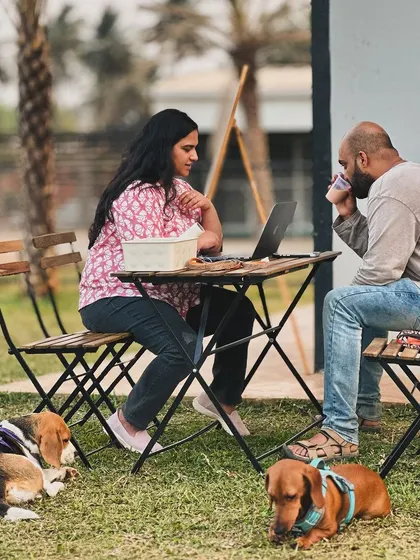 Our park is work-from-home friendly. With good internet and happy dogs sleeping at your feet, it's the best office in Bangalore.