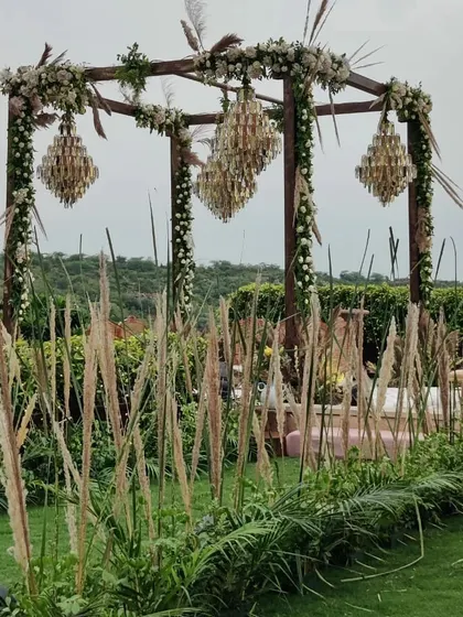 A side view of the rustic mandap, showing how the tall pampas grass creates a natural aisle and frames the structure beautifully against the green landscape.