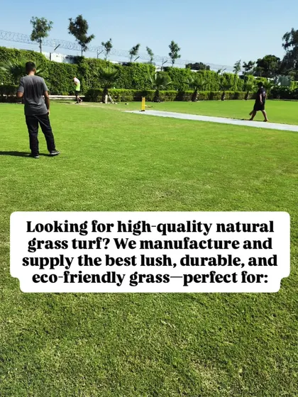 Our high-quality natural grass turf is perfect for sports grounds, farmhouses, schools, and more.