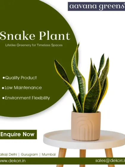 The artificial Snake Plant is a perfect blend of beauty, durability, and low maintenance. Its upright leaves with distinct patterns add a touch of modern elegance to any tabletop or corner.