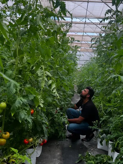 A moment of focus while inspecting the crop. Understanding plant growth and identifying issues early are key skills we teach in our hands on sessions.