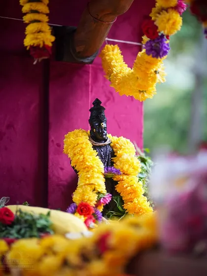 The idol of Lord Vithala decorated with marigold garlands for the Ashadhi Ekadashi Sobha Yatra. This festival is especially significant for devotees of Vithala.