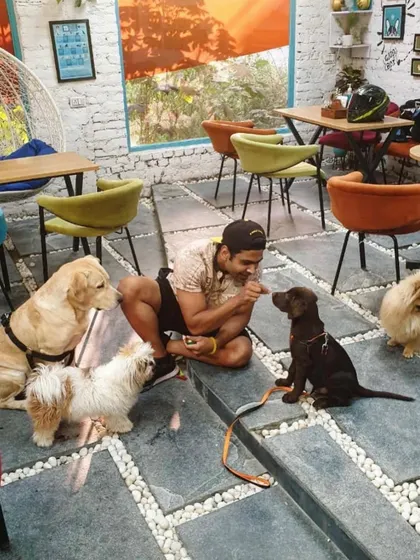 A customer surrounded by a pack of adorable pups, all vying for his attention. It's a dog lover's dream.