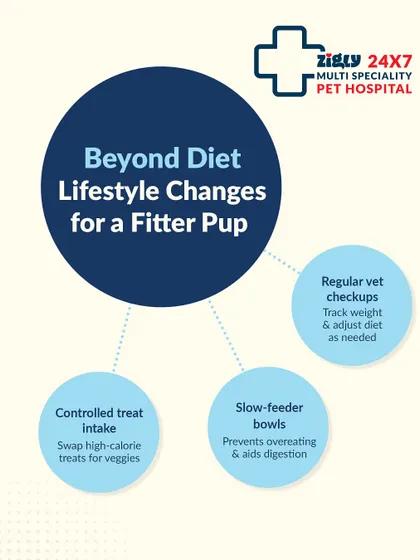 Lifestyle changes can make a big difference. This guide suggests using slow-feeder bowls and swapping high-calorie treats for healthy veggies.