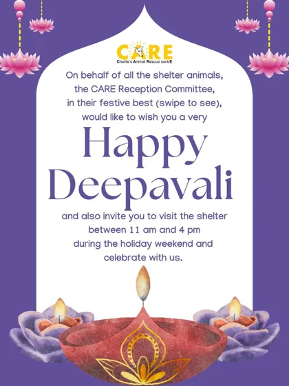 On behalf of all our shelter animals, the CARE Reception Committee wishes you a very Happy Deepavali. We invite you to celebrate with us at the shelter.