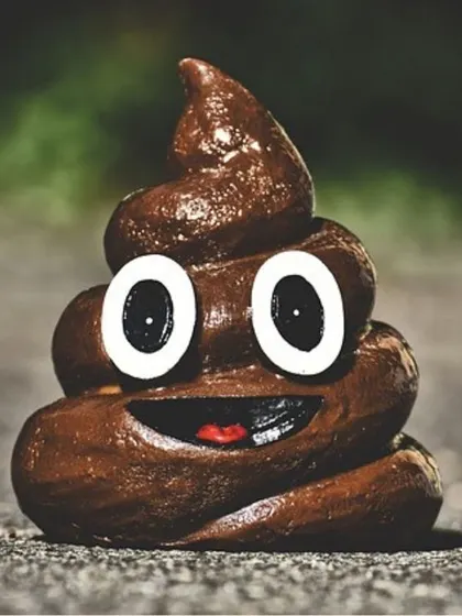 Let's talk about poop. One of the first things you'll notice is a huge improvement in digestion. Our food leads to smaller, firmer, and way less smelly poops, making cleanup a whole lot better for you.