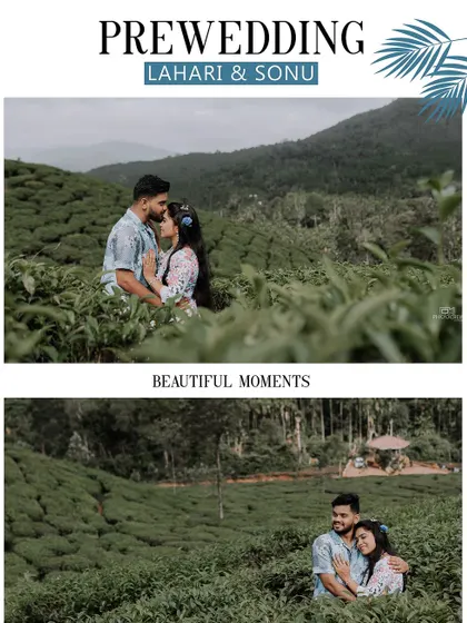 Duplicate of image 144, a collage from a tea plantation shoot.
