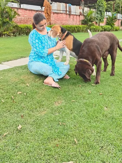 Manpreet sitting on the grass, surrounded by a Beagle and a Chocolate Lab. This is a common sight here, as dogs are naturally drawn to our caring team.