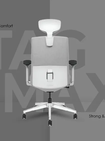 The back view of the 'Tag Max' chair, this time in a modern white and grey finish, showing its robust lumbar support structure.