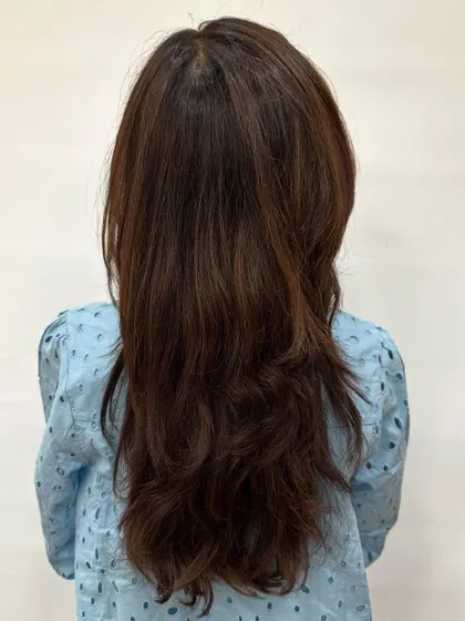 The starting point for a "Mahogany & Plum" color. We're working with previously colored hair to introduce new, richer tones.