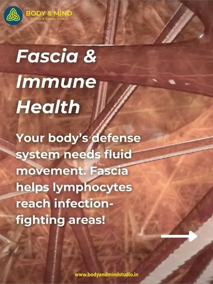 Your body's immune system needs fluid movement to function optimally. Fascia helps transport lymphocytes (infection-fighting cells) to where they are needed, making fascial health critical for strong immunity.
