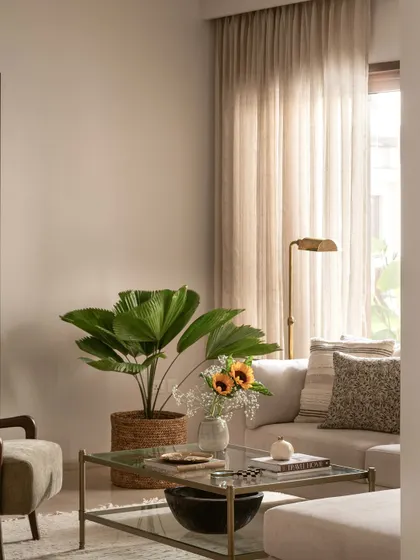 Natural light and indoor plants are key elements in our designs. In this living room, a large fan palm and sheer curtains create a soft, sun-drenched corner that feels peaceful and connected to nature.