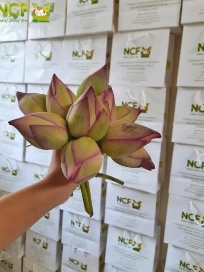 We use fresh lotus buds and leaves for our Kang festival offerings, ensuring the most authentic experience for our customers.