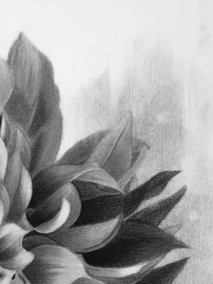 Another detail, focusing on the play of light and shadow that gives the flower its form.