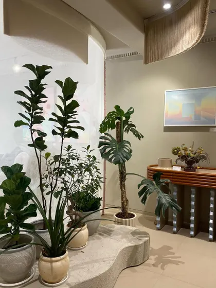 Biophilic design is woven throughout the showroom, with carefully selected indoor plants adding life and a natural element to the space. Here, a collection of potted plants, including a fiddle-leaf fig and monstera, softens a corner next to a sculptural console table.