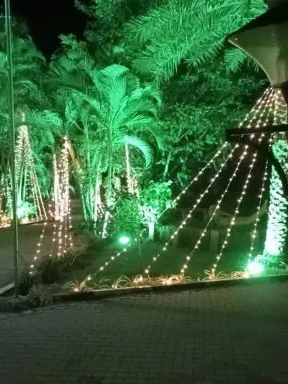 Outdoor lighting setup for an evening event. I use string lights and uplighting on trees to create a magical and festive atmosphere.