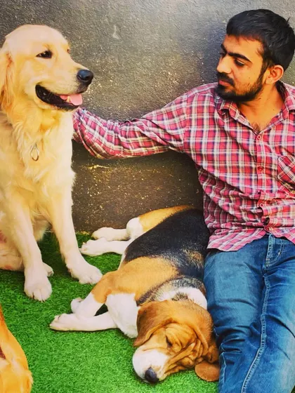 A quiet moment of connection. Here I am sharing some cuddles with a happy Golden Retriever while a tired Beagle naps at my feet. Every dog gets personal affection.