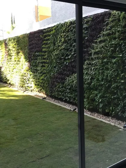 A view from inside, looking out onto a lawn and a beautiful vertical garden. A living wall provides a much better view than a plain boundary wall, creating a private green sanctuary.