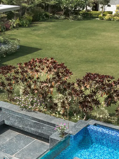 From this elevated perspective at Rosewood Farmhouse, you can see how we layer our planting schemes. The deep blue of the pool is framed by dark stone, which in turn is softened by vibrant red-leafed shrubs and a wide expanse of green lawn, creating a rich tapestry of color and texture.