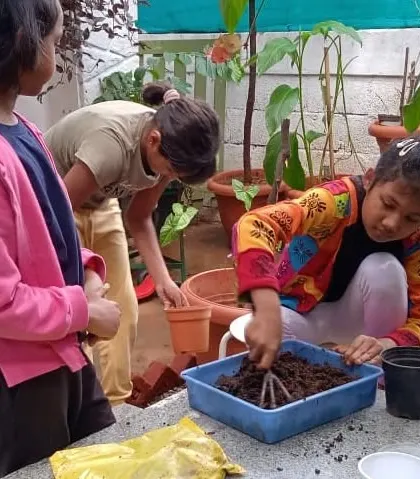 A collection of moments from our various hands-on science activities, showing children deeply engaged in learning through doing.