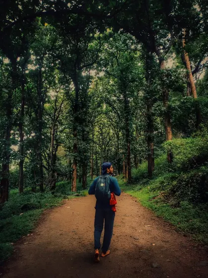 Walking a forest path, I feel a deep connection to the natural world. My journey with yoga has taught me to find stillness and healing not just on the mat, but in every moment and every environment.