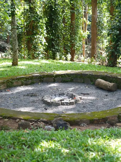 A wide shot of the rustic fire pit in its woodland setting, surrounded by a low stone wall and a carpet of green grass.