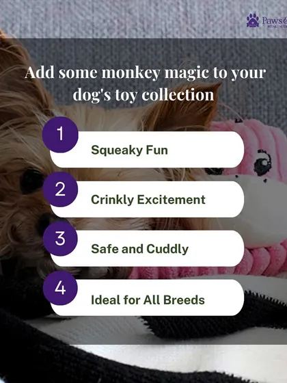 This graphic lists the reasons to add Spencer the Monkey to your dog's toy collection. It offers squeaky and crinkly excitement, is safe and cuddly, and is ideal for all breeds.