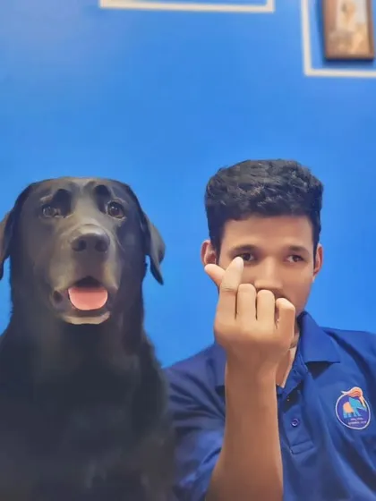 A team member and a black Lab, sending some love to all of you.