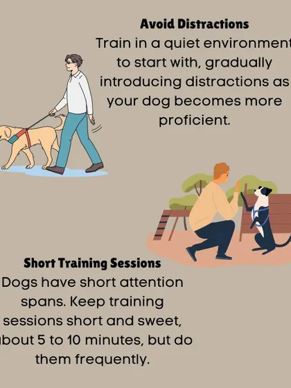To set your dog up for success, we start training in a quiet environment and keep sessions short, around 5 to 10 minutes. This respects their short attention spans and makes learning more effective.