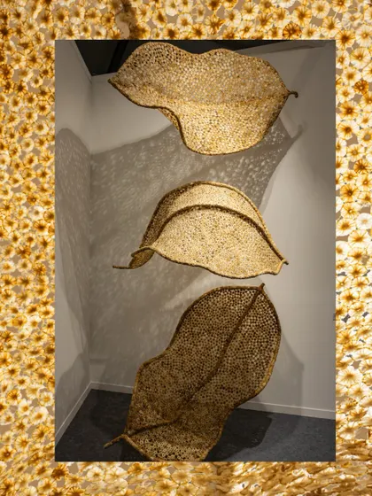 A framed presentation of the 'Biography' installation, bordered by the raw texture of the cigarette butts. This composition emphasizes the core concept: framing waste as art and finding beauty in the discarded.