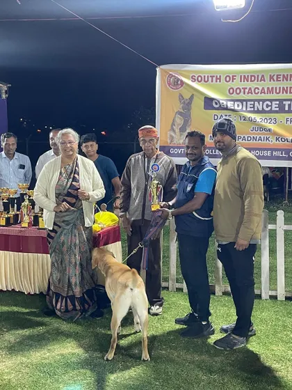 A handler receiving a trophy for his Labrador's performance.