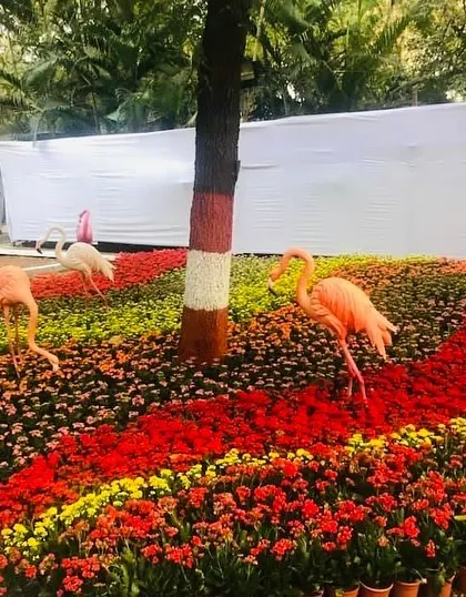 Adding a touch of whimsy with these flamingo statues in a river of red and yellow flowers. These elements are great for themed events or adding a playful touch to a public garden space.