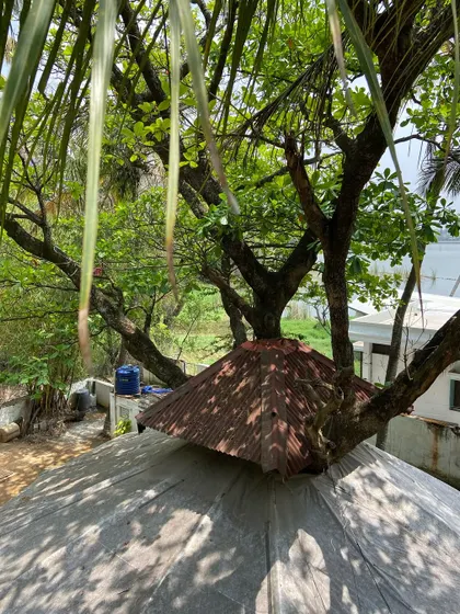 Welcome to our peaceful, leafy haven. Our studio is intentionally built to coexist with nature, providing a tranquil escape from the city where you can connect with creativity, our artisan family, and the environment.