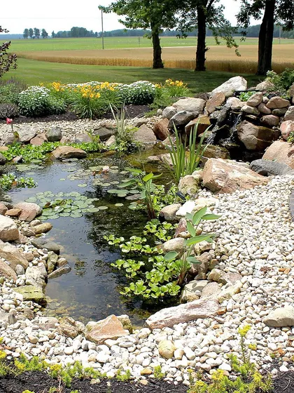 I enjoy building landscape ponds that look natural. For this one, I used a mix of boulders and smaller stones to create a gentle waterfall and a healthy environment for the water lilies and other aquatic plants.