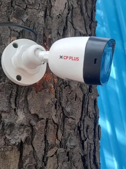 A CP Plus bullet camera installed on a tree trunk, showing the versatile installation options we can provide for unique situations.