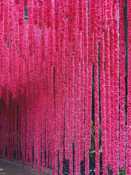A portal of vibrant pink flowers creates a dramatic entrance for a quirky Mehendi party. This immersive floral tunnel was designed to transport guests into a world of fun and celebration.