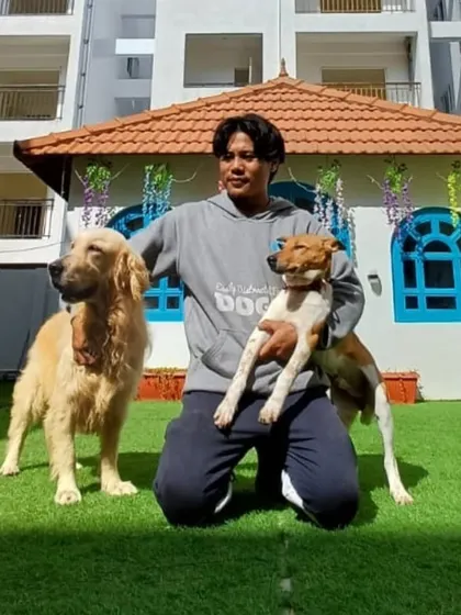 A team member with a Golden Retriever and an Indie. We love all dogs equally.