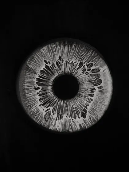 A detailed drawing of an iris. This was part of my 30-day challenge and took about 12 hours to complete.