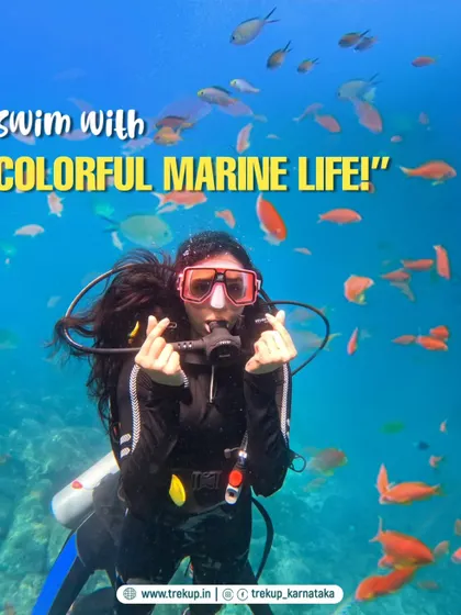 Ever wondered what it's like to breathe underwater? On our Netrani Island scuba trips, you can swim with vibrant schools of fish just like this. We provide full training with certified instructors, making it perfect for beginners.