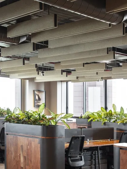 We used biophilic elements throughout the Primarc office to enhance employee well-being. Workstations are separated by planters filled with greenery, which improve air quality and act as natural, calming partitions.