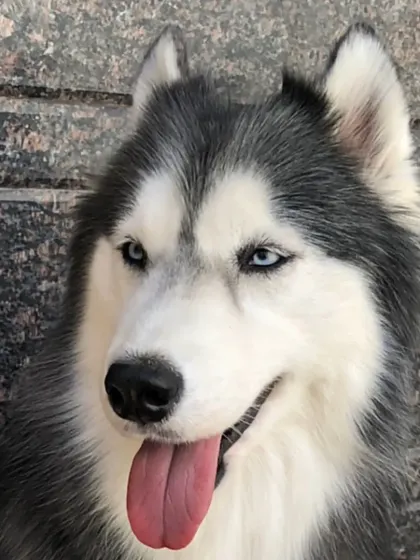 Those blue eyes can melt anyone's heart.