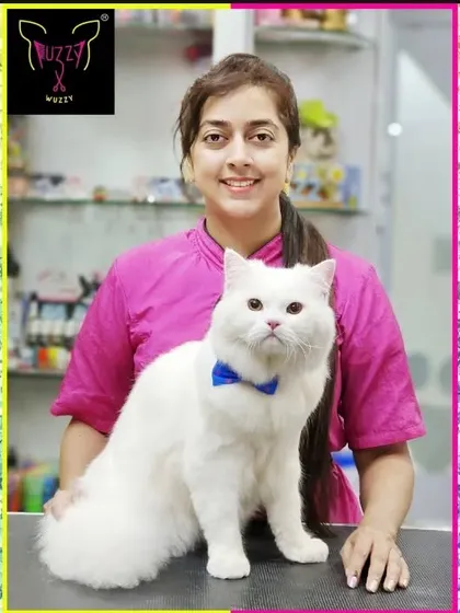 Snowy the white Persian cat is looking handsome with his blue bow tie. He is a regular client who is very comfortable with the grooming process.