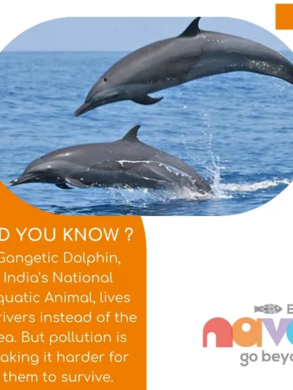 We explore the unique habitats of animals like the Gangetic Dolphin, India's National Aquatic Animal. These facts help children understand the impact of pollution on our river ecosystems.