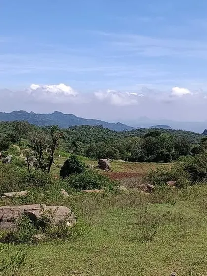 Another view of the scenic 20-acre site in Hosur. The natural landscape, including hills and slopes, is a critical part of my Vastu analysis for large-scale layout planning.