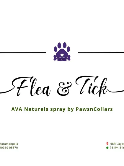 We proudly present our own Ava Naturals Flea & Tick spray. It's our commitment to providing natural, effective solutions for everyday pet care challenges.