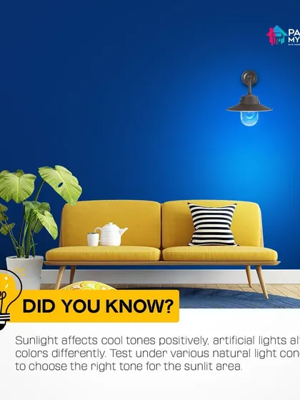 Did you know that lighting affects how colors appear? Sunlight enhances cool tones, while artificial lights can alter colors differently. I always recommend testing paint under various natural light conditions.