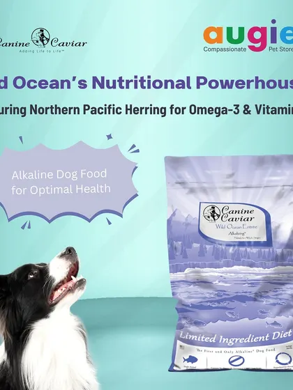 This Wild Ocean formula from Canine Caviar is a nutritional powerhouse. It features Northern Pacific Herring, a great source of Omega-3 and Vitamin D. It's a hypoallergenic, low-sodium, and holistic food.