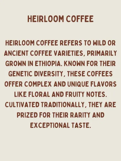 A definition of heirloom coffee, which refers to wild or ancient coffee varieties, primarily from Ethiopia, prized for their rarity and taste.