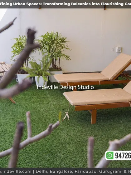 A view of the sun loungers from behind a frangipani tree, creating a layered and natural-feeling perspective.